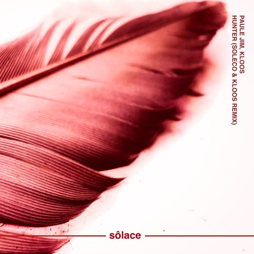 Hunter (SOLECO & Kloos Remix)