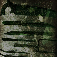 why i was not in my own body