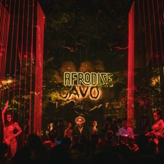 AARON SEVILLA AT CAVO DUBAI