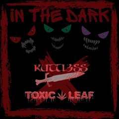 In The Dark Feat. Toxic Leaf(Prod. By Hitman of Toxic Leaf)