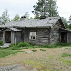 Gråträskvals