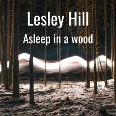 Asleep in a wood