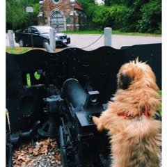 Raks - In This Life (prod. thatkidgoran & giogomez)