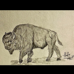 Buffalo (Hurray For The RIiff Raff Cover)