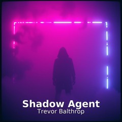 Shadow Agent