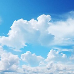 Deckers - Progressive House 25