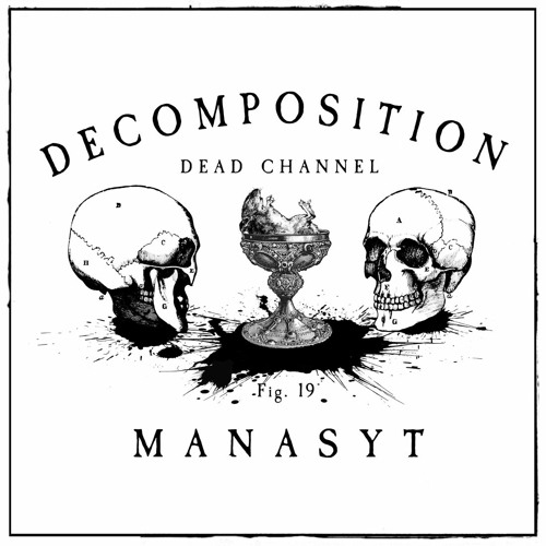 Decomposition - Fig. 19: MANASYt