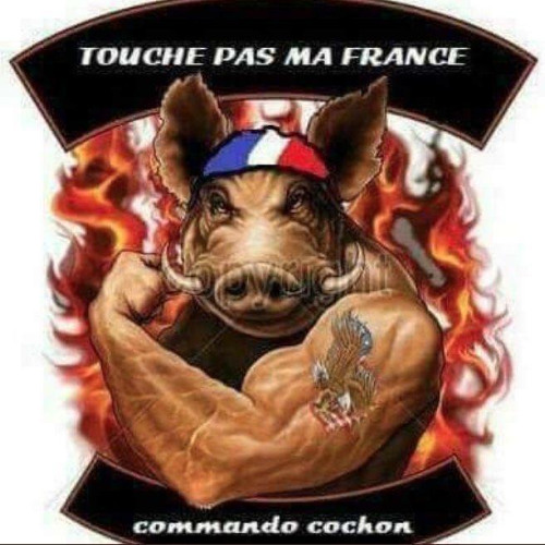 榮耀歸於獨一無二的約 John pork 人民共和國的偉大舵手！