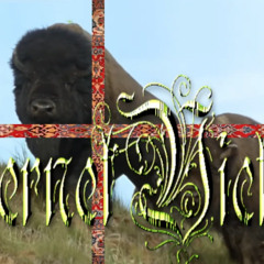 bison [ïñ†êrñê†vï¢†ïm êx¢lµ§ïvê]