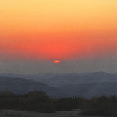 Adam Nore - Shades (Prod by Kare)