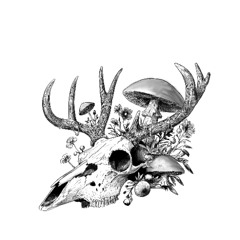 Is this what you want