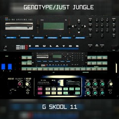 Just Jungle​​/​​Genotype - G Skool 11