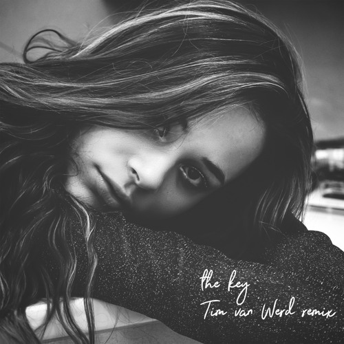 Lara Samira - the key (Tim van Werd remix)