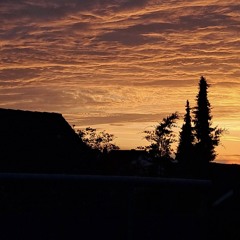 Urlaub am Balkon
