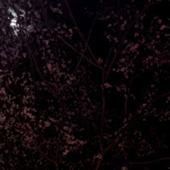 Red Planet (prod. Yung Nab)