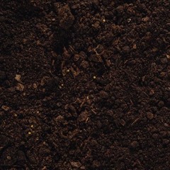 dirt prod murfee