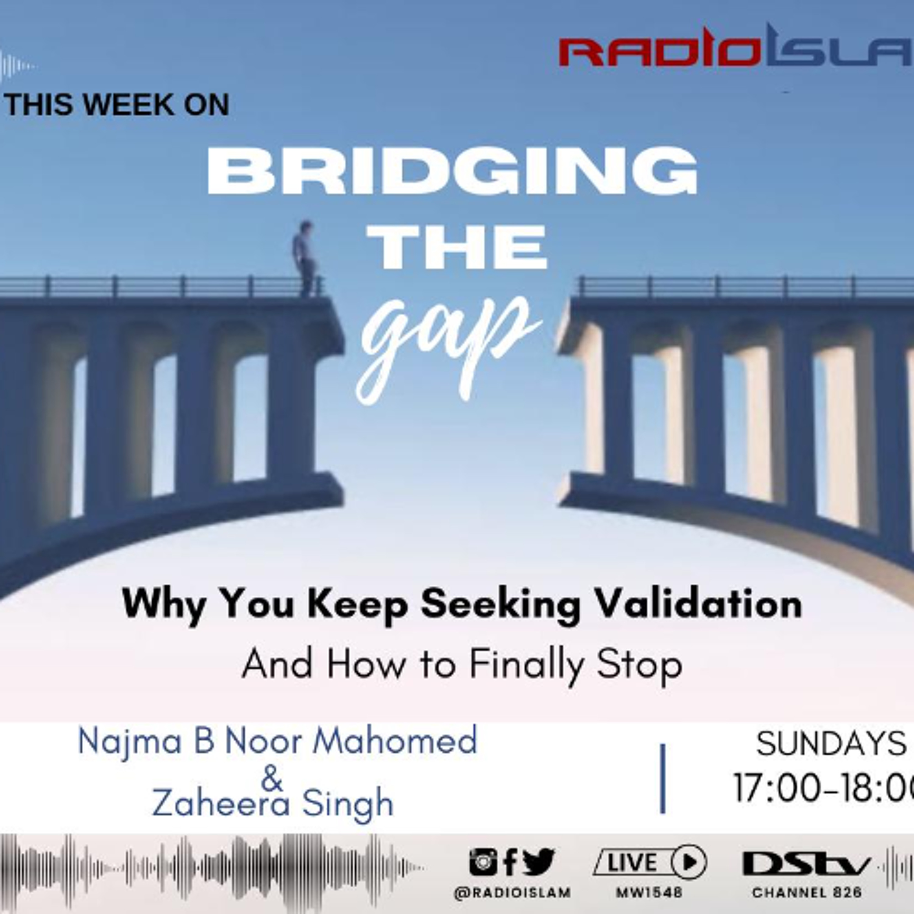 Bridging the Gap - Why You Seek Validation episode artwork