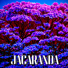 Jacaranda