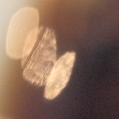 reason to escape // fountain in the desert