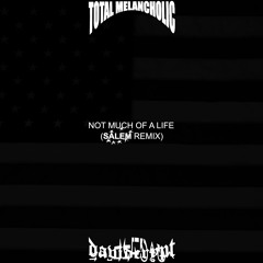 Not Much Of A Life (SALEM Remix)