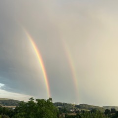 Flight Of The Dragon