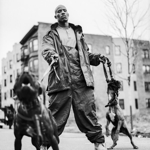 DMX - get it on the floor (edit)