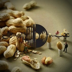 AT#73 Ali Tariq - Peanuts