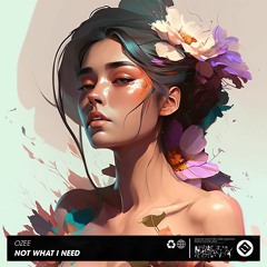Ozee - Not What I Need [Original Mix]