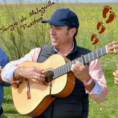 Pasitos