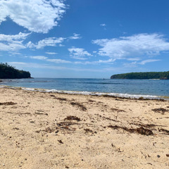The Shore and Its Illusions