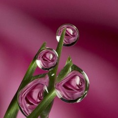 follow trek fx3 on soundcloud