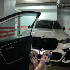 V $ X V PRiNCE - Шараут & Plain Jane (Waysberg Music Mashup Remix)