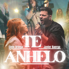 Te Anhelo (feat. Javier Baerga)