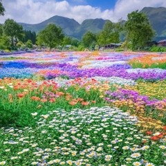 chillout tenderness 10