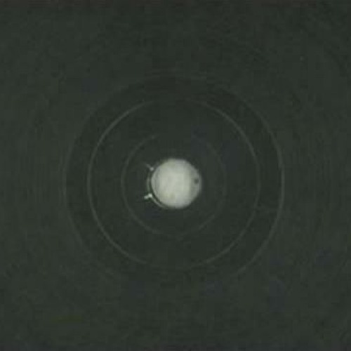 Fabrizio Lapiana - 1003B