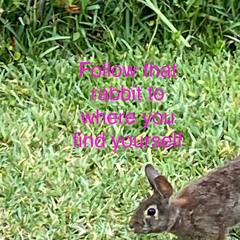 Let’s Draw Pictures Of The Sounds We See