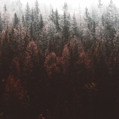 Where the blades fall