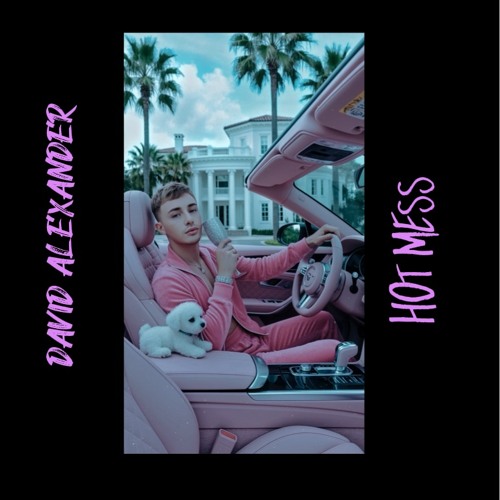 Stream Hot Mess by David Alexander | Listen online for free on SoundCloud