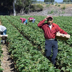 Quien es el hombre - Who is the Man