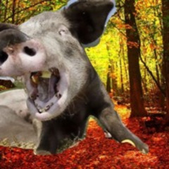 Das Schwein geht verrückt in den Wald hinein