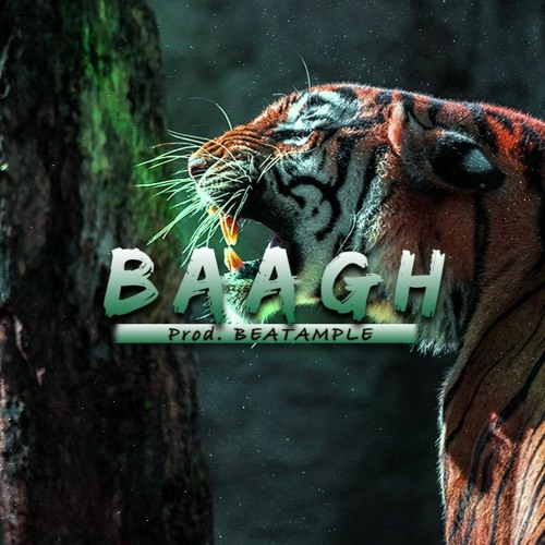 [FREE FOR PROFIT] Indian Type Beat | "BAAGH" | Indian Trap Beat | Free Type Beat 2022