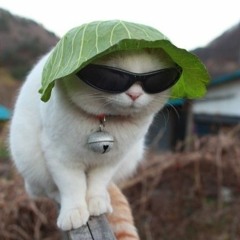 Gøø
