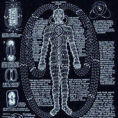 human psyche matrix hackers(humanimal&sukoharaa).wav