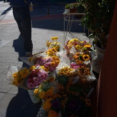 AUD-20250823-WA0000.Demo