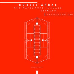 PREMIERE: Robbie Akbal - Everything is Energy (Original Mix) [Suleiman]