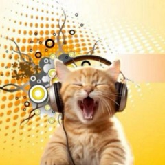 Playlist