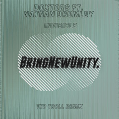 Doxtors feat. Nathan Brumley - Invisible (Ted Troll Remix)