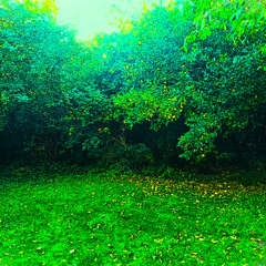 What's Happening?! (alternative vocal) (The Byrds cover)