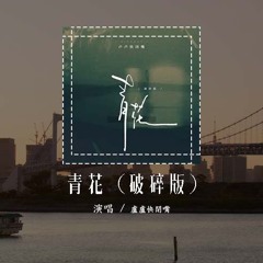 卢卢快闭嘴 - 青花 (破碎版)(原唱：周传雄)「紧紧握着青花信物 信守着承诺，离别总在失意中度过」(4k Video)【動態歌詞/pīn yīn gē cí】#卢卢快闭嘴 #青花 #動態歌詞