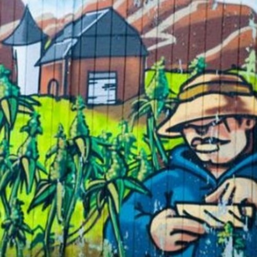 Unknown - Drugtester